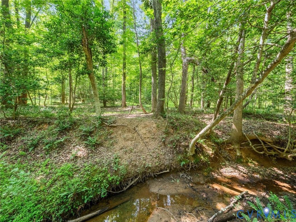 3613 Archers Ridge Powhatan, VA 23139 - Photo 66 of 74