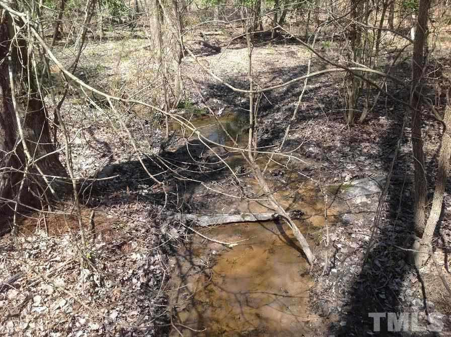 Strange Road Louisburg, NC 27549 - Photo 6 of 18 Photo 6