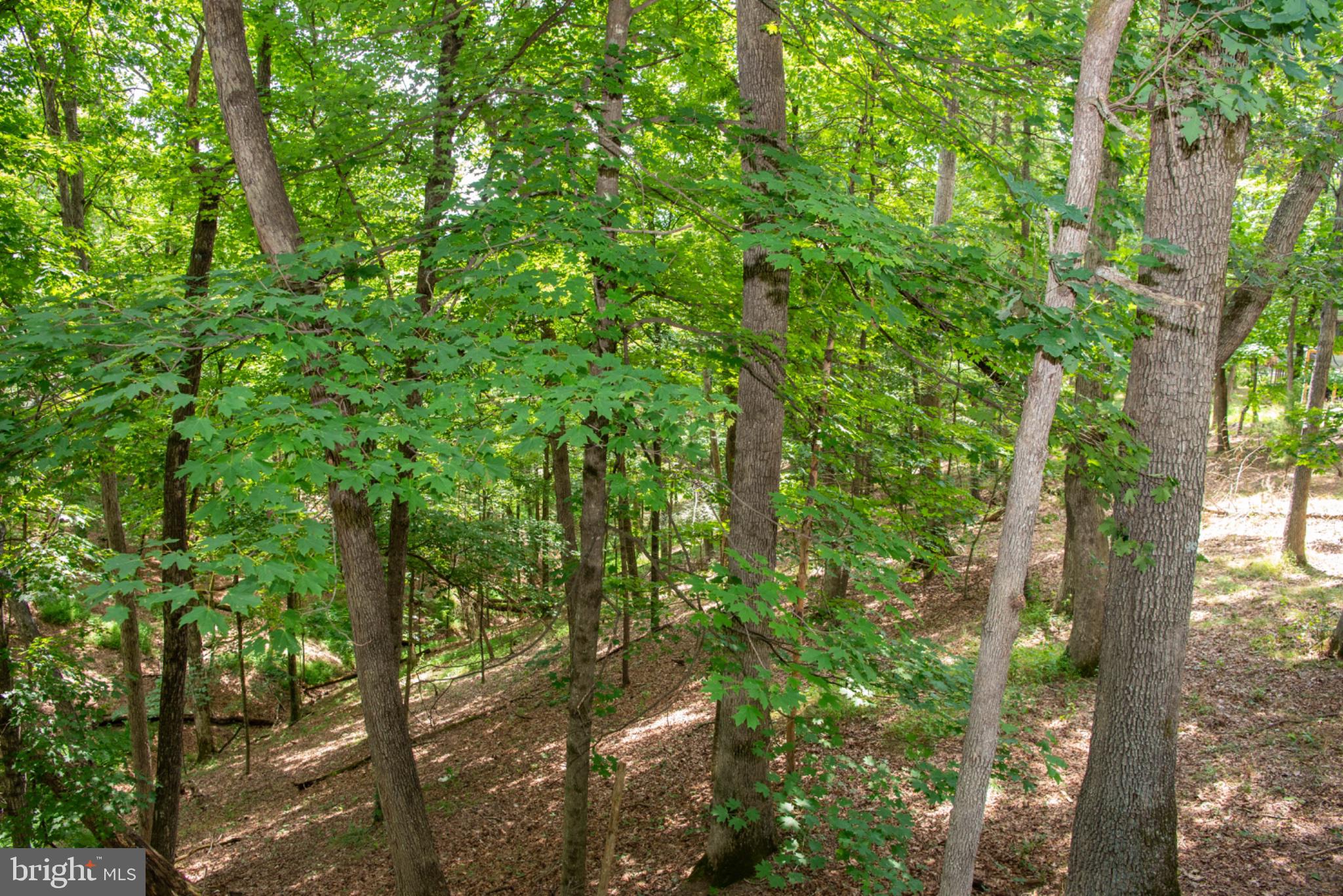 689 Snider's Ridge Mathias, WV 26812 - Photo 88 of 104 Gallery Image 88
