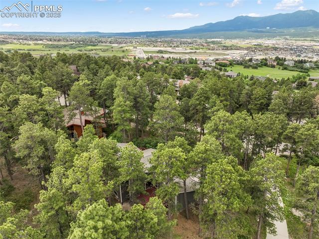 510 Silhouette Way Monument, CO 80132 - Photo 49 of 50 Gallery Image 49