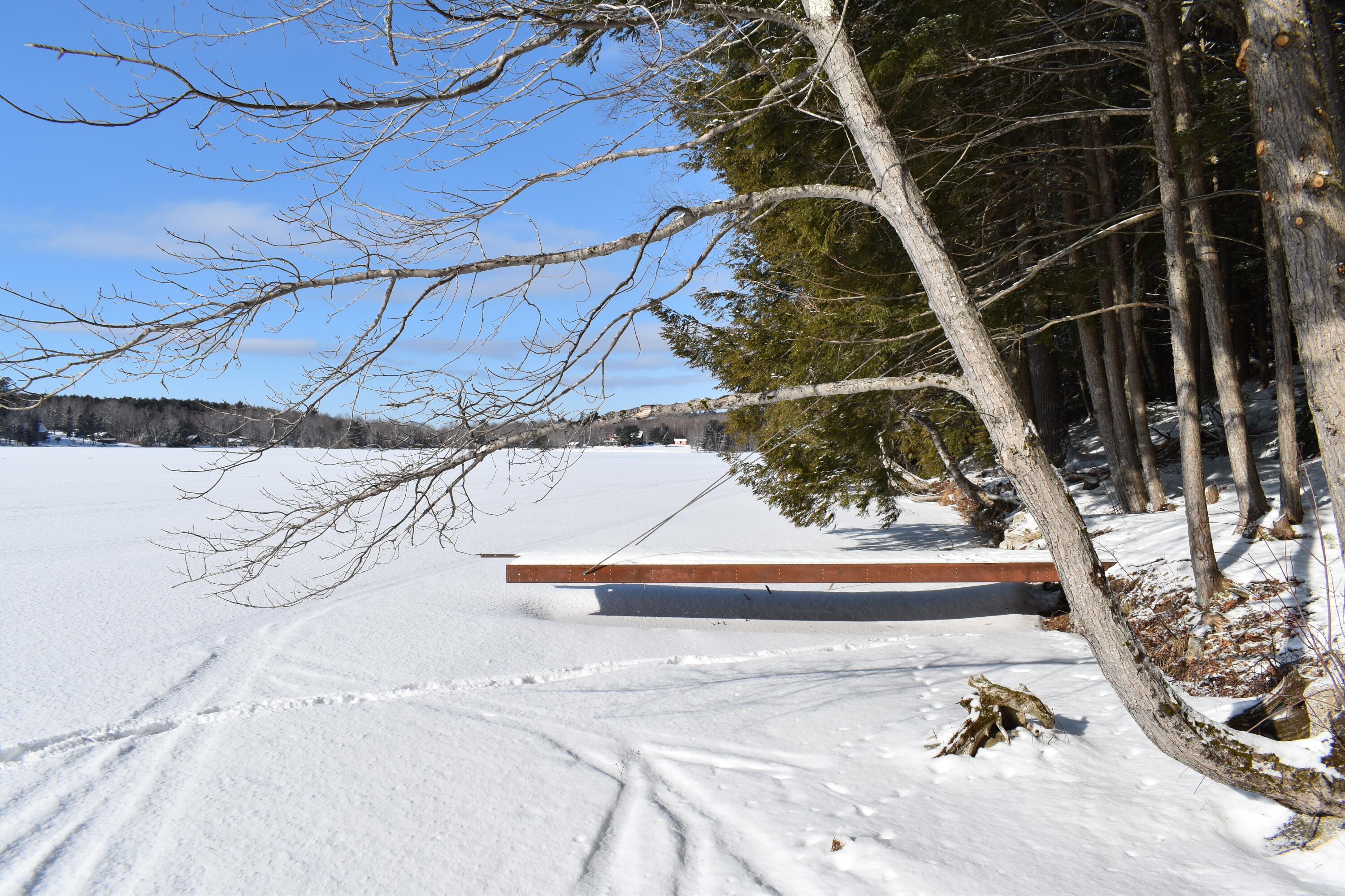 37.41 Acres Houston Road Lincoln, ME 04457 - Photo 10 of 29 DSC_0446