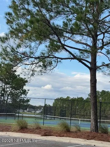 a view of a yard with a tree