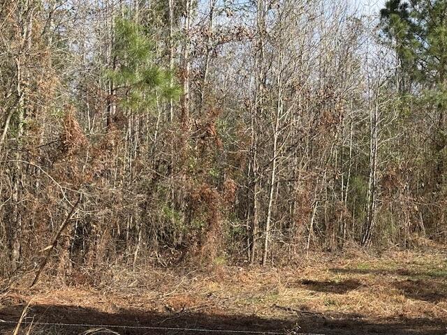 7 Dr Brown Road Deridder, LA 70634 - Photo 1 of 1 Gallery Image 1