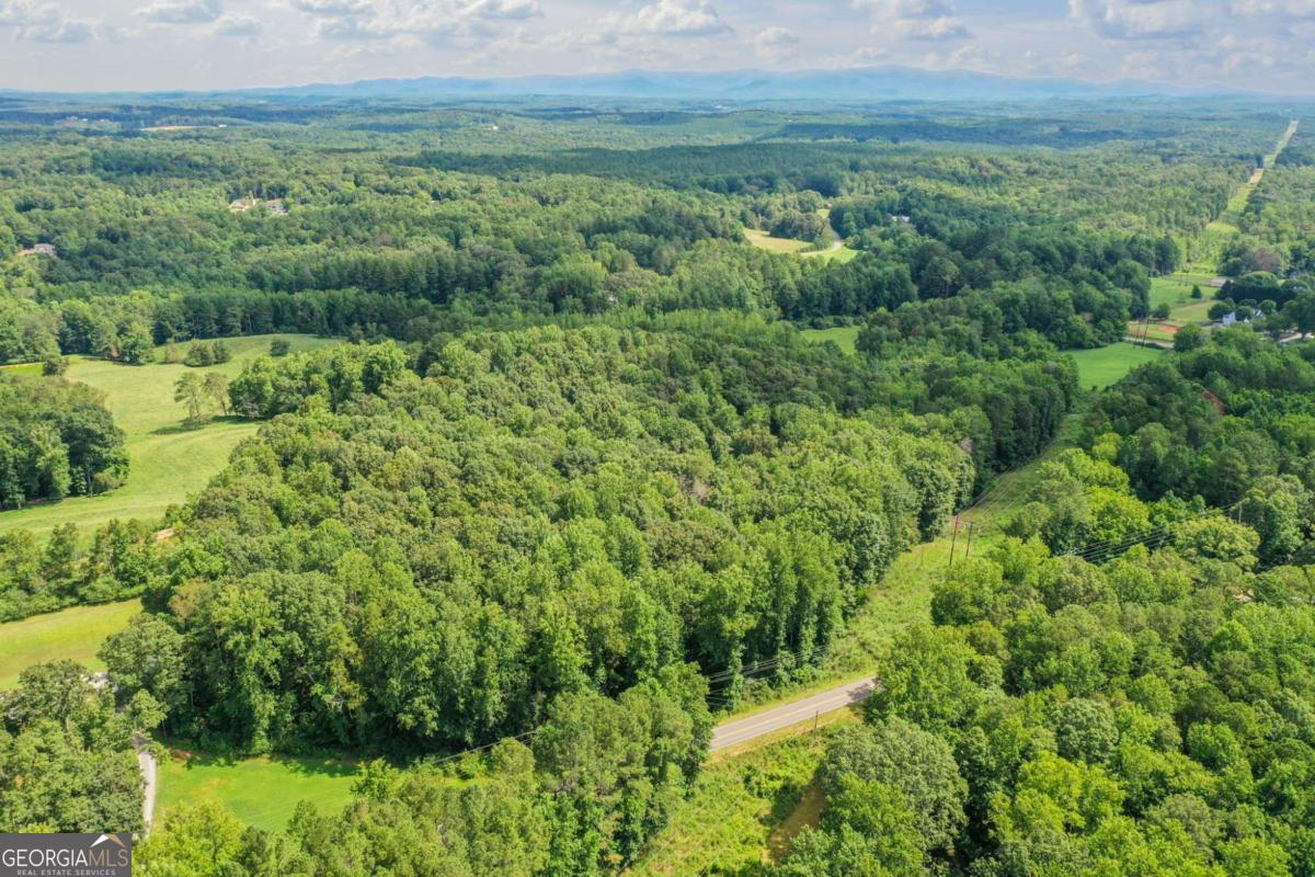0 Upper Bethany Road Ball Ground, GA 30107 - Photo 11 of 15 a view of a lush green forest with trees and some houses
