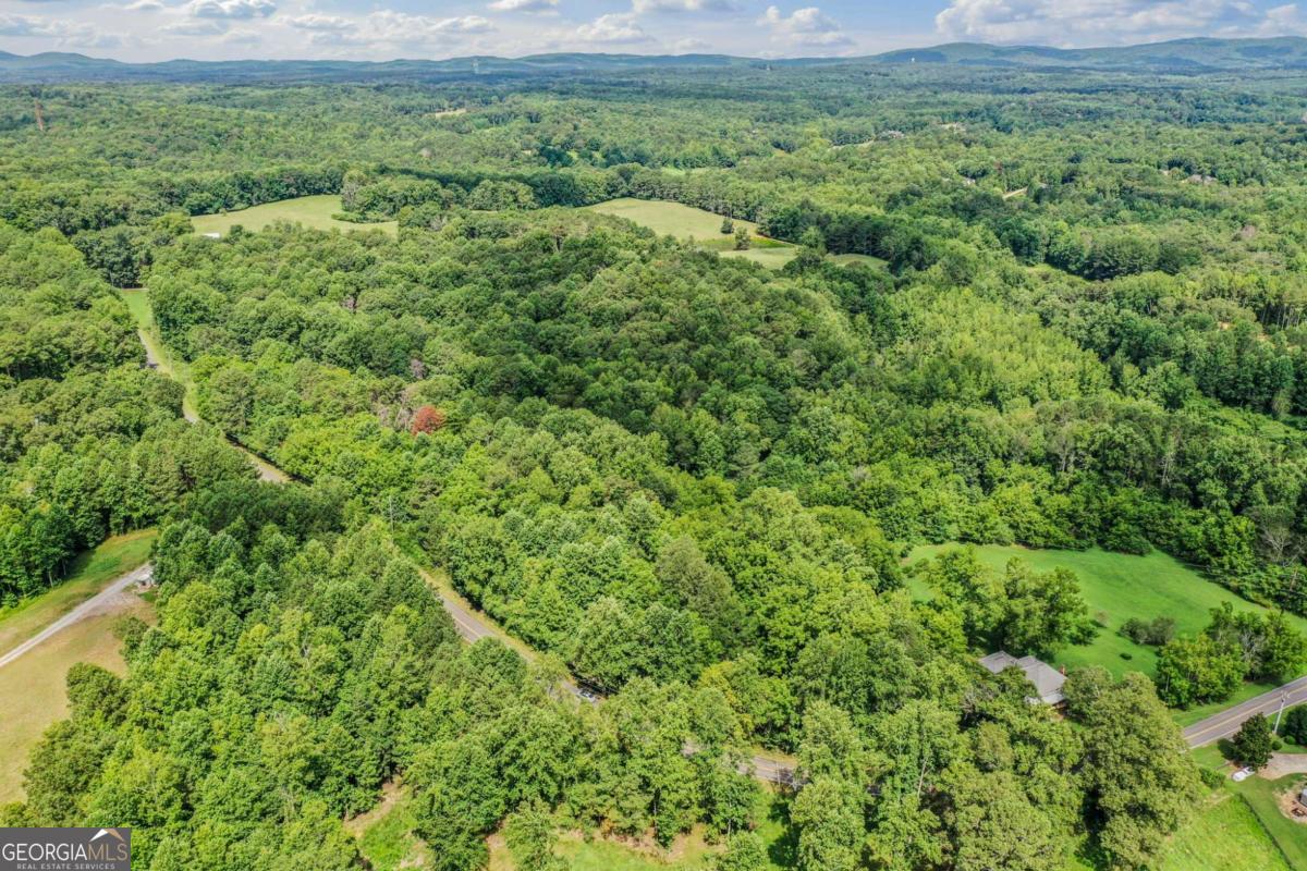 0 Upper Bethany Road Ball Ground, GA 30107 - Photo 13 of 15 a view of a big yard with plants and large trees