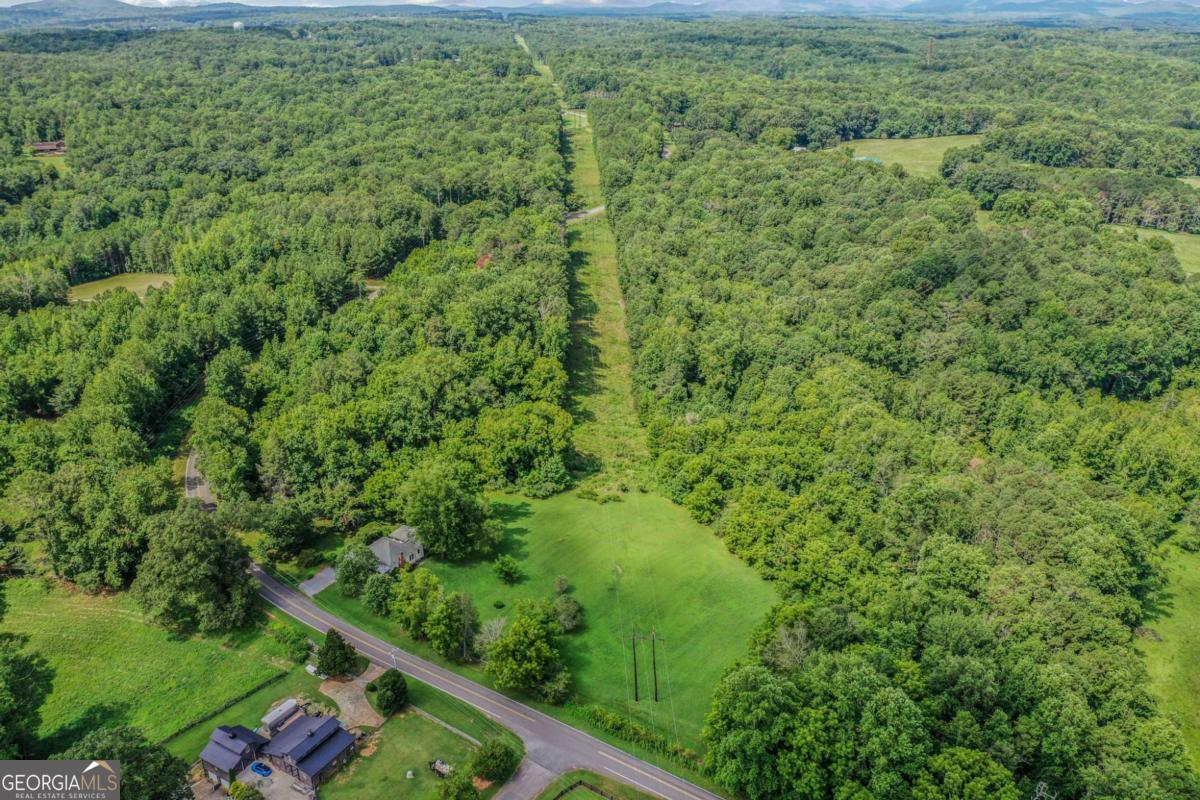 0 Upper Bethany Road Ball Ground, GA 30107 - Photo 14 of 15 a view of a lush green forest with a street