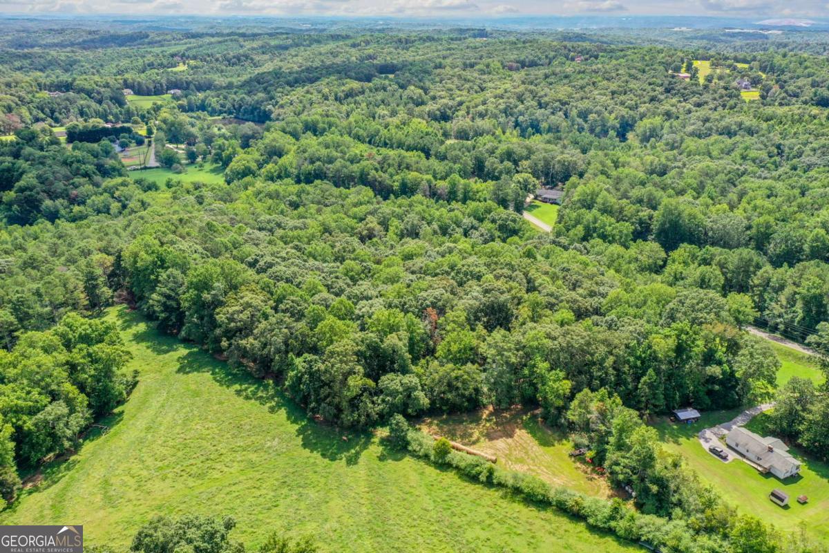 0 Upper Bethany Road Ball Ground, GA 30107 - Photo 4 of 15 a view of a green yard with large trees