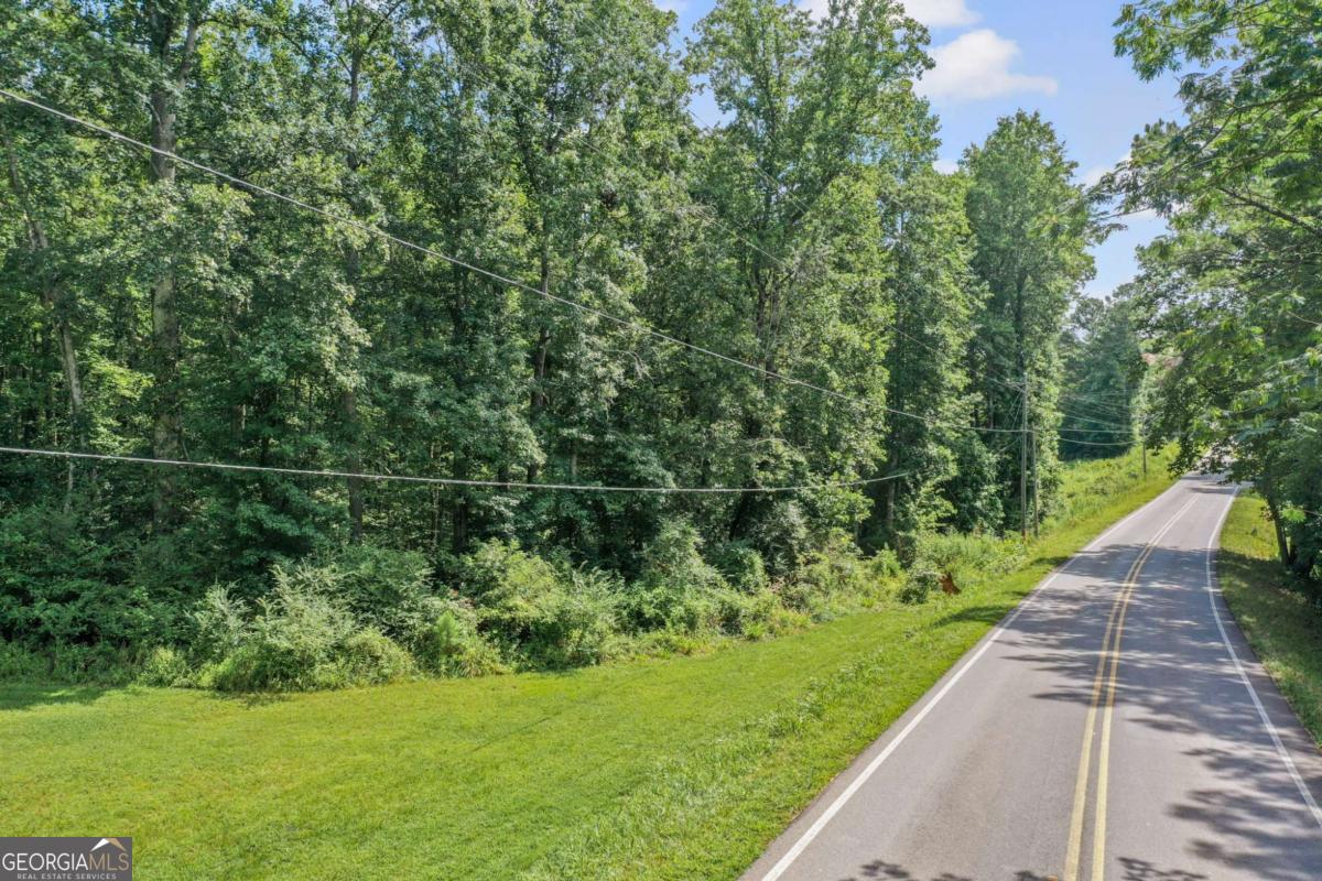 0 Upper Bethany Road Ball Ground, GA 30107 - Photo 5 of 15 a view of a garden with a park