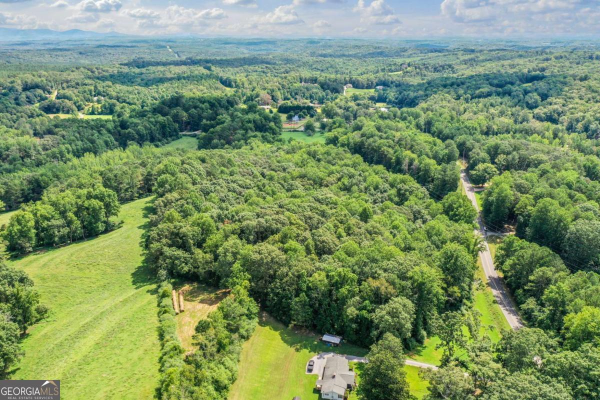 0 Upper Bethany Road Ball Ground, GA 30107 - Photo 6 of 15 a view of a lush green forest with houses and lake view