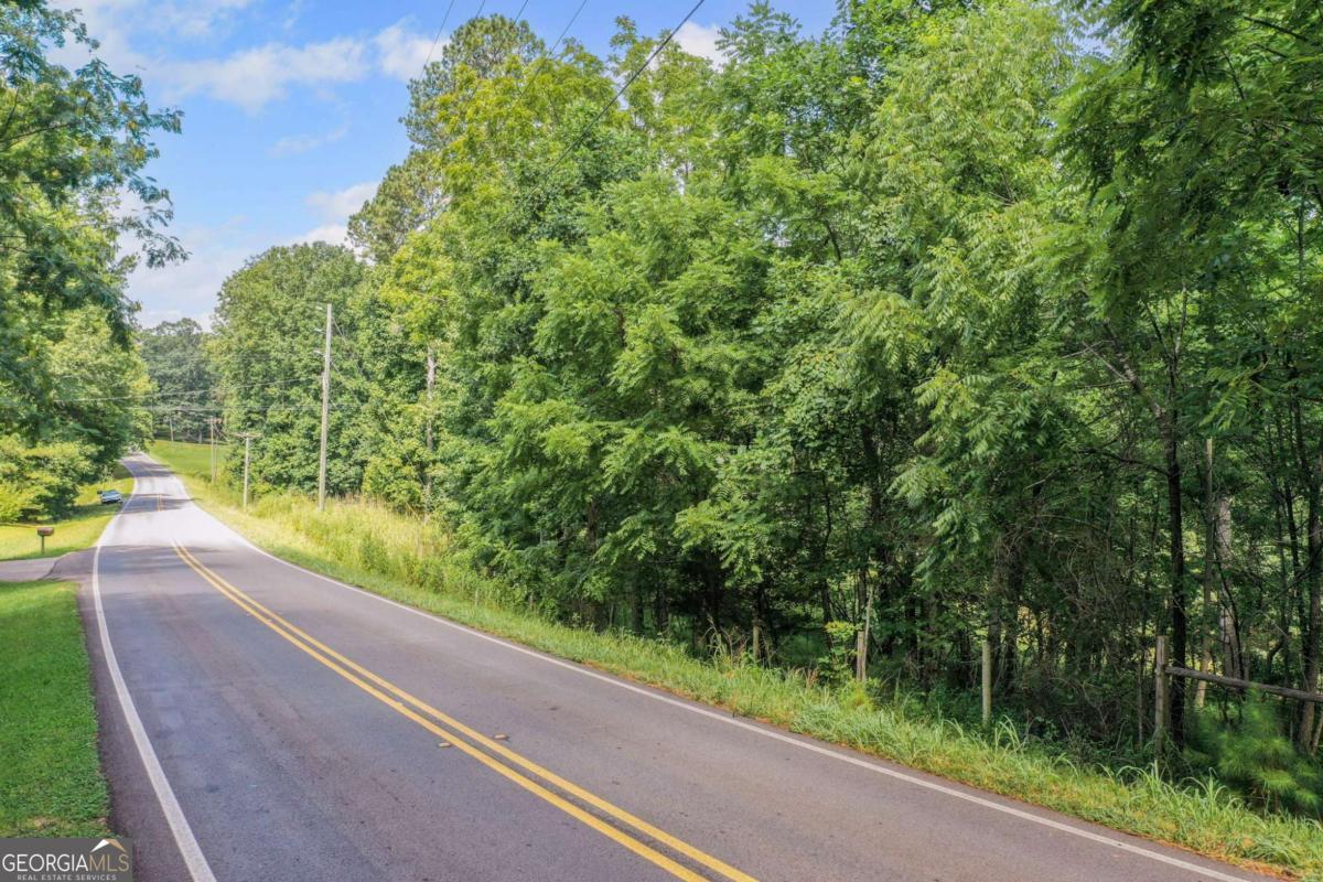 0 Upper Bethany Road Ball Ground, GA 30107 - Photo 9 of 15 a view of a garden