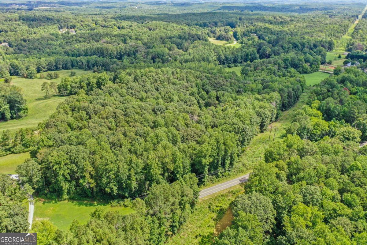 0 Upper Bethany Road Ball Ground, GA 30107 - Photo 10 of 15 a view of a lush green forest with a trees