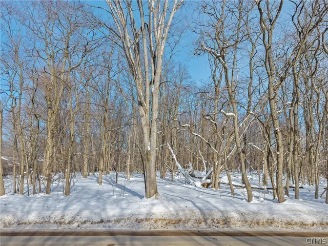 $50,000 | Canning Factory Road, Pulaski, NY 13142