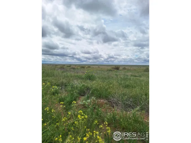 $99,000 | 0 Parcel 2 North, Briggsdale, CO 80611