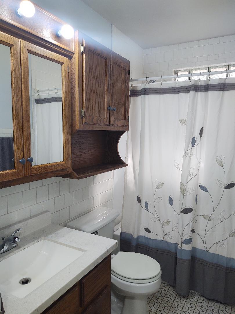 5255 Sand Ridge Road Morris, IL 60450 - Photo 14 of 20 a bathroom with a sink a toilet and shower