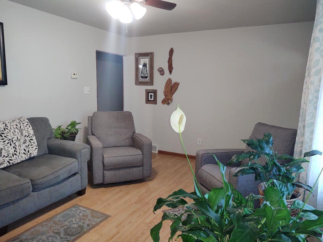 5255 Sand Ridge Road Morris, IL 60450 - Photo 5 of 20 a living room with furniture and a potted plant