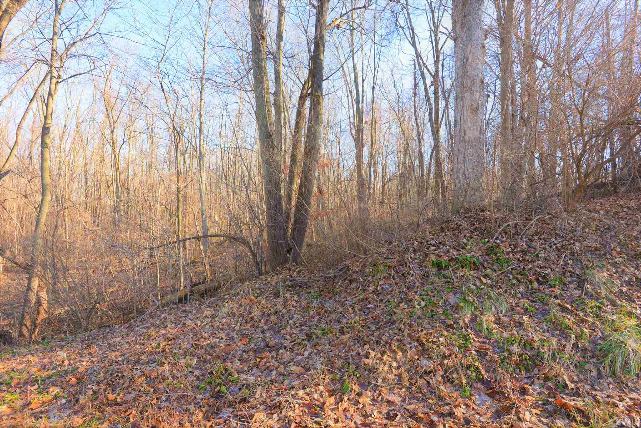 65390 Oak Road North Liberty, IN 46554 - Photo 14 of 18 Gallery Image 14