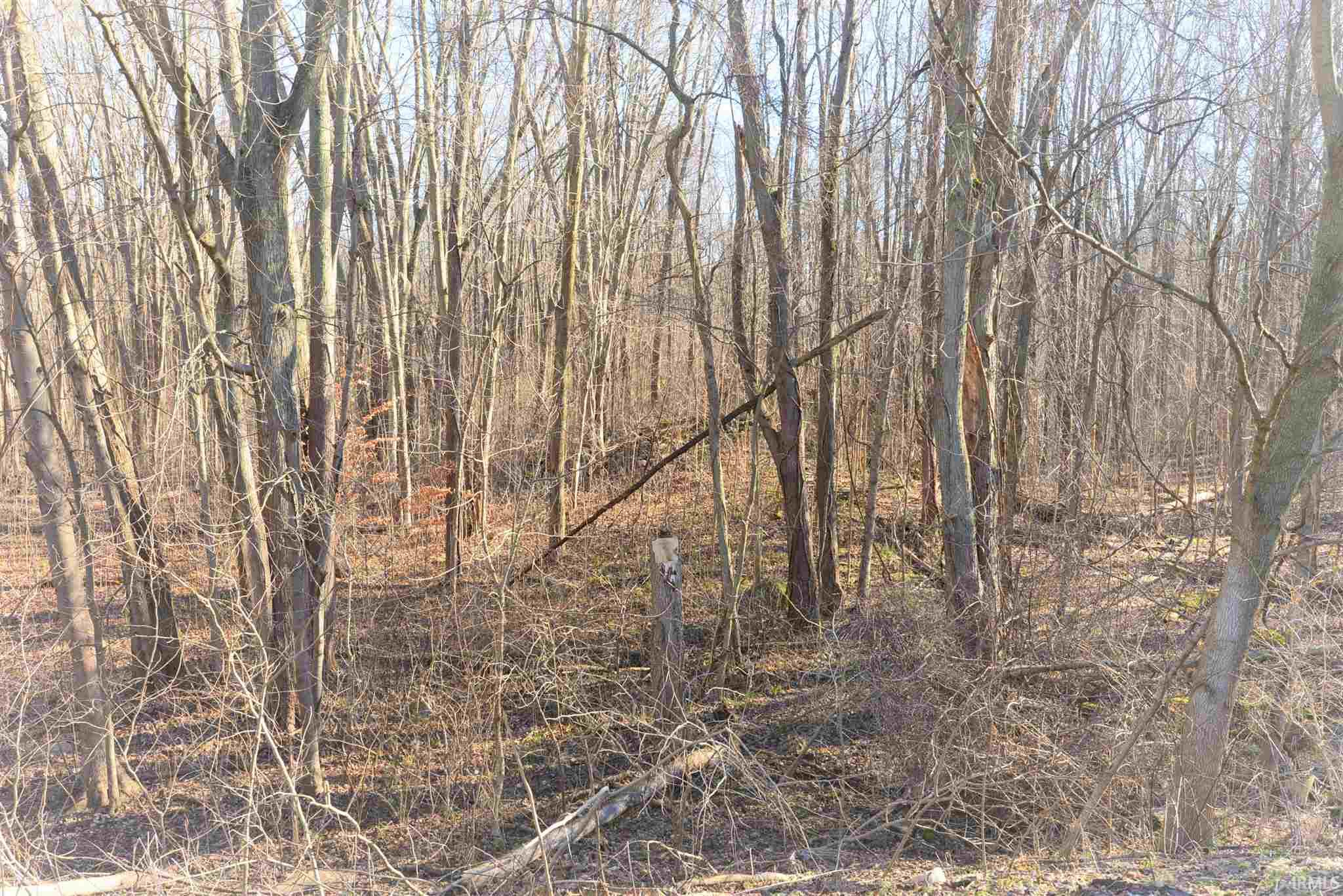 65390 Oak Road North Liberty, IN 46554 - Photo 16 of 18 Gallery Image 16