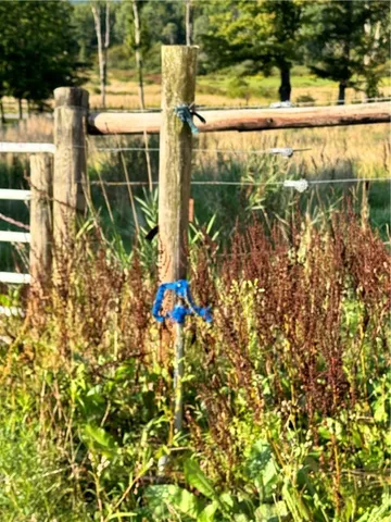 $479,900 | 1009 Barbertown Road, Eldred, PA 16731