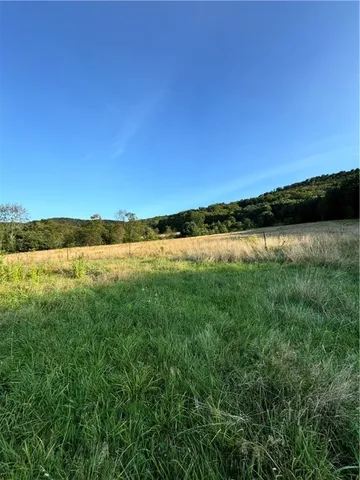 $479,900 | 1009 Barbertown Road, Eldred, PA 16731