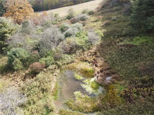 $479,900 | 1009 Barbertown Road, Eldred, PA 16731