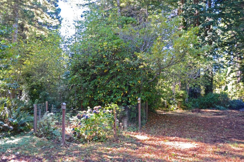 1498 Fox Farm Road Trinidad, CA 95570 - Photo 33 of 40 Gallery Image 33