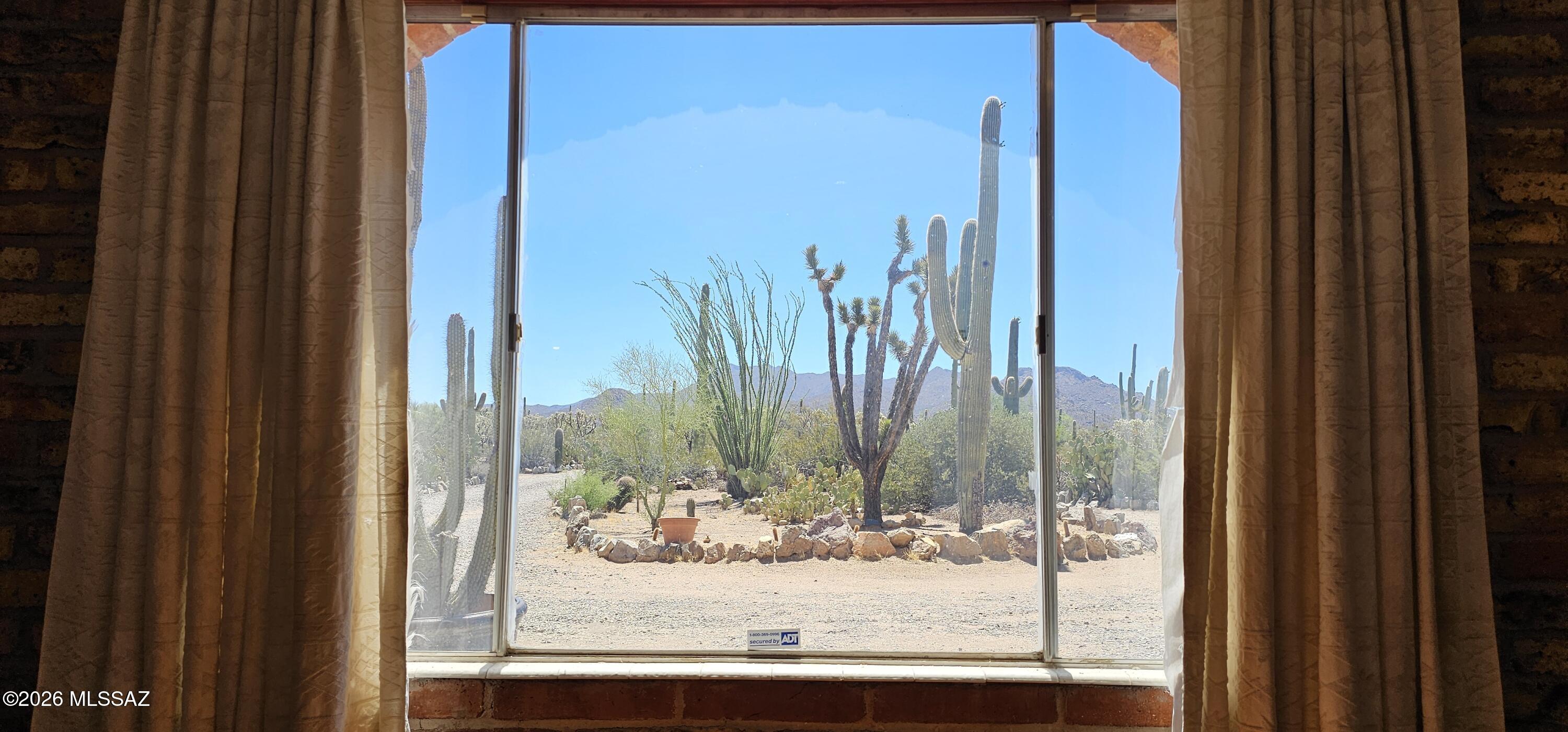 4441 North Sanders Road Tucson, AZ 85743 - Photo 6 of 40 View From Living Room