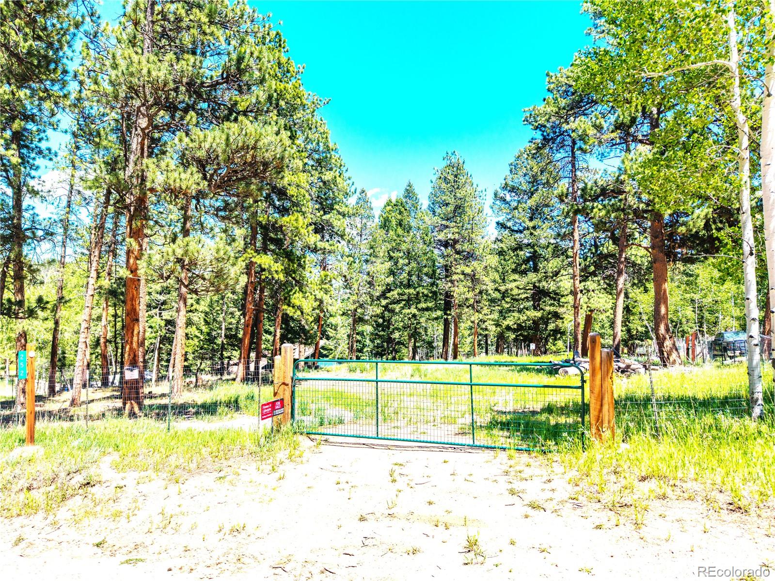 252 Beaver Trail Bailey, CO 80421 - Photo 6 of 12