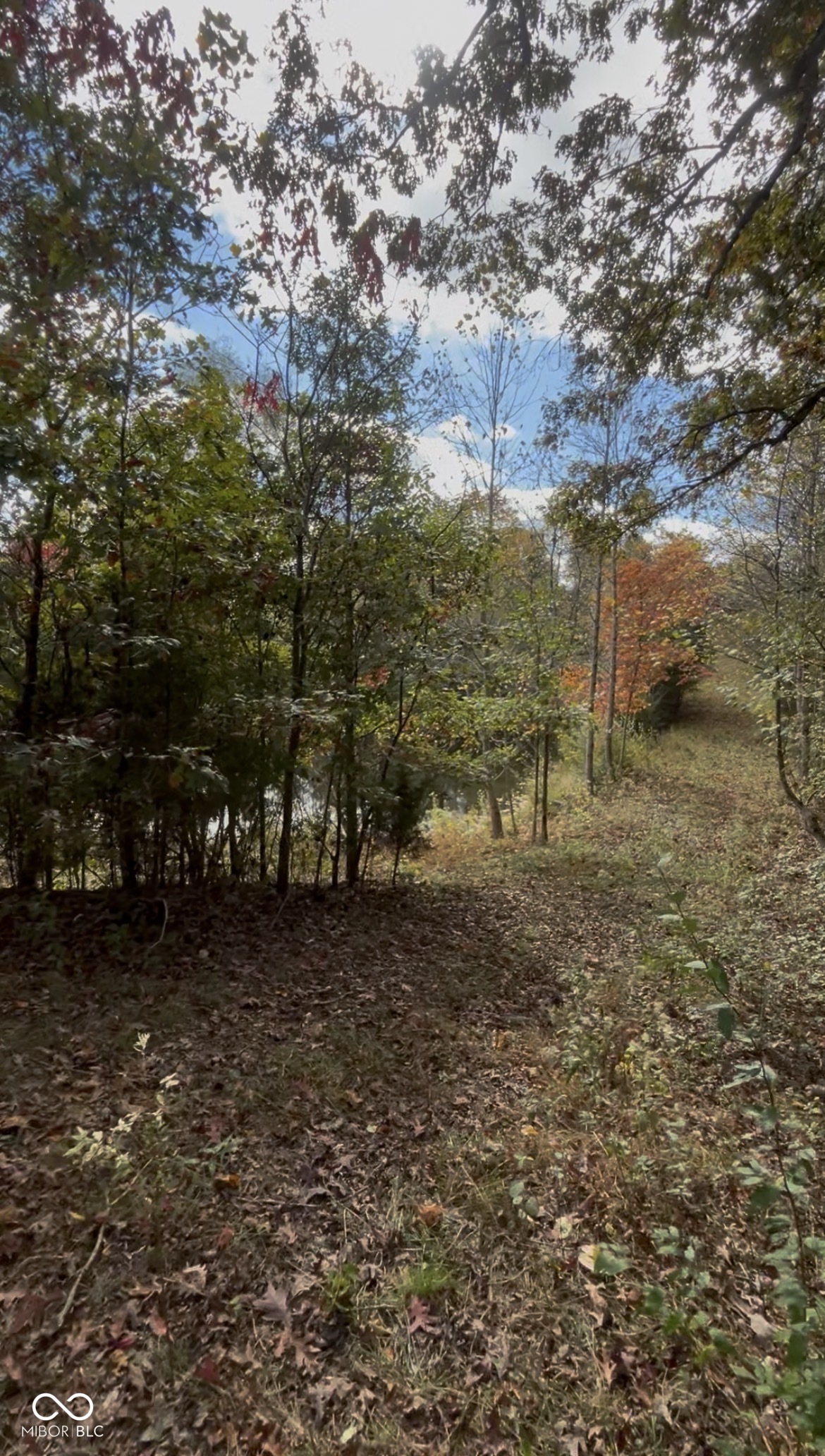 7120 Ford Ridge Road Nashville, IN 47448 - Photo 15 of 30