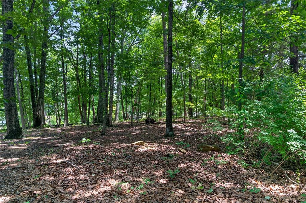 2729 Arbor Hill Road Canton, GA 30115 - Photo 50 of 54