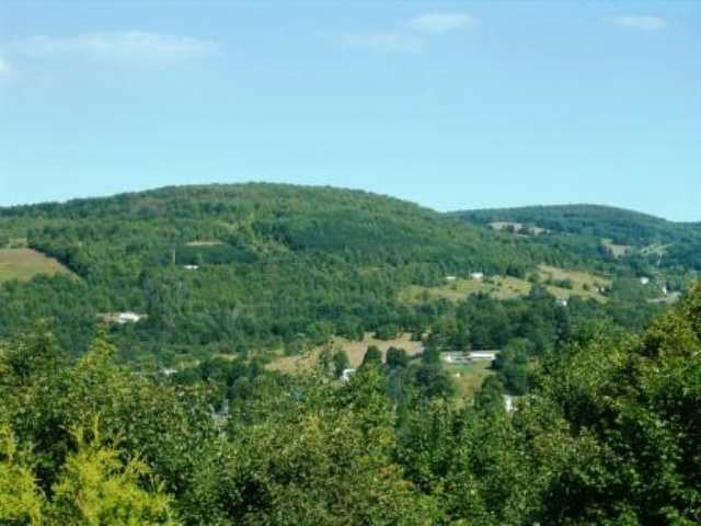 404 Stannard Road Summit, NY 12175 - Photo 4 of 11 Photo 4