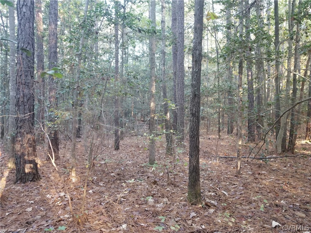0 Millpond Road Disputanta, VA 23842 - Photo 1 of 1 Gallery Image 1