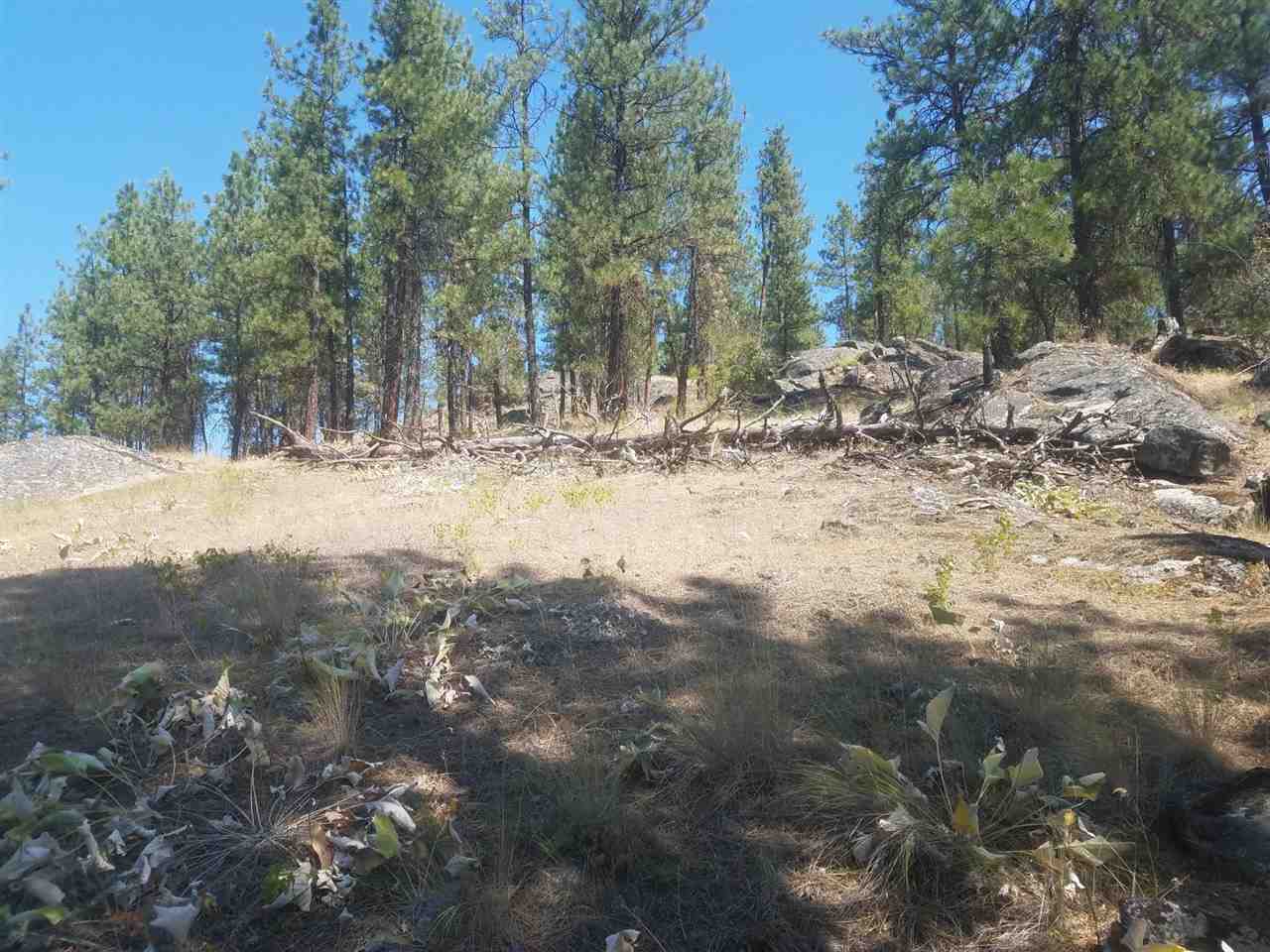 1122 Artman-Gibson Road Colville, WA 99114 - Photo 11 of 14 Gallery Image 11
