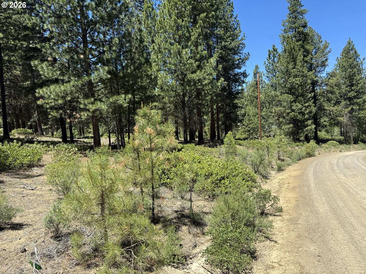 Incline Drive, Unit 22 Chiloquin, OR 97624 - Photo 11 of 19