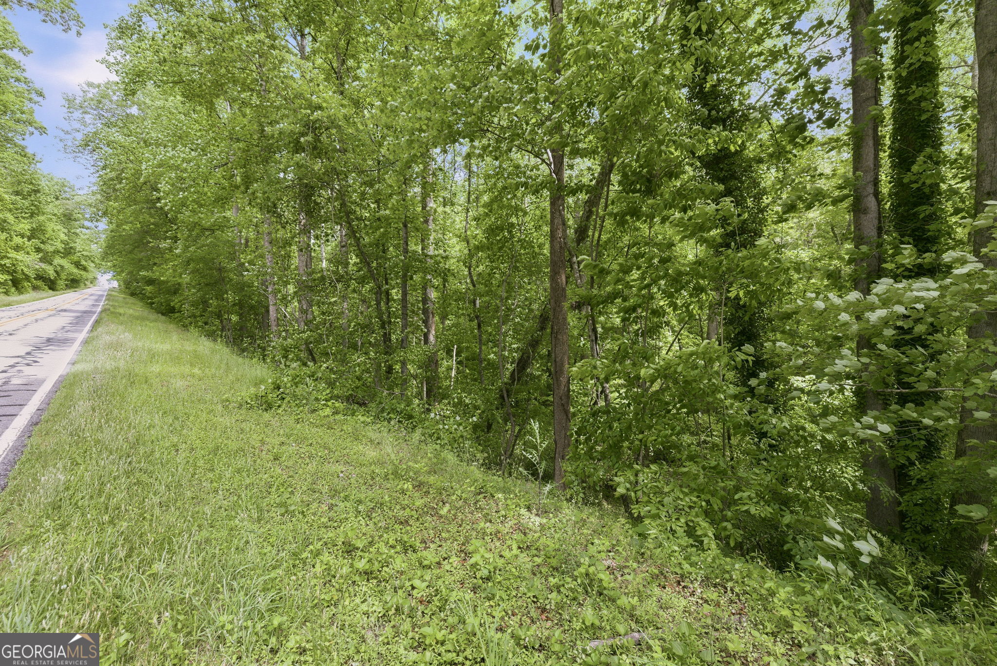 0 Habersham Mills Road Demorest, GA 30535 - Photo 3 of 24