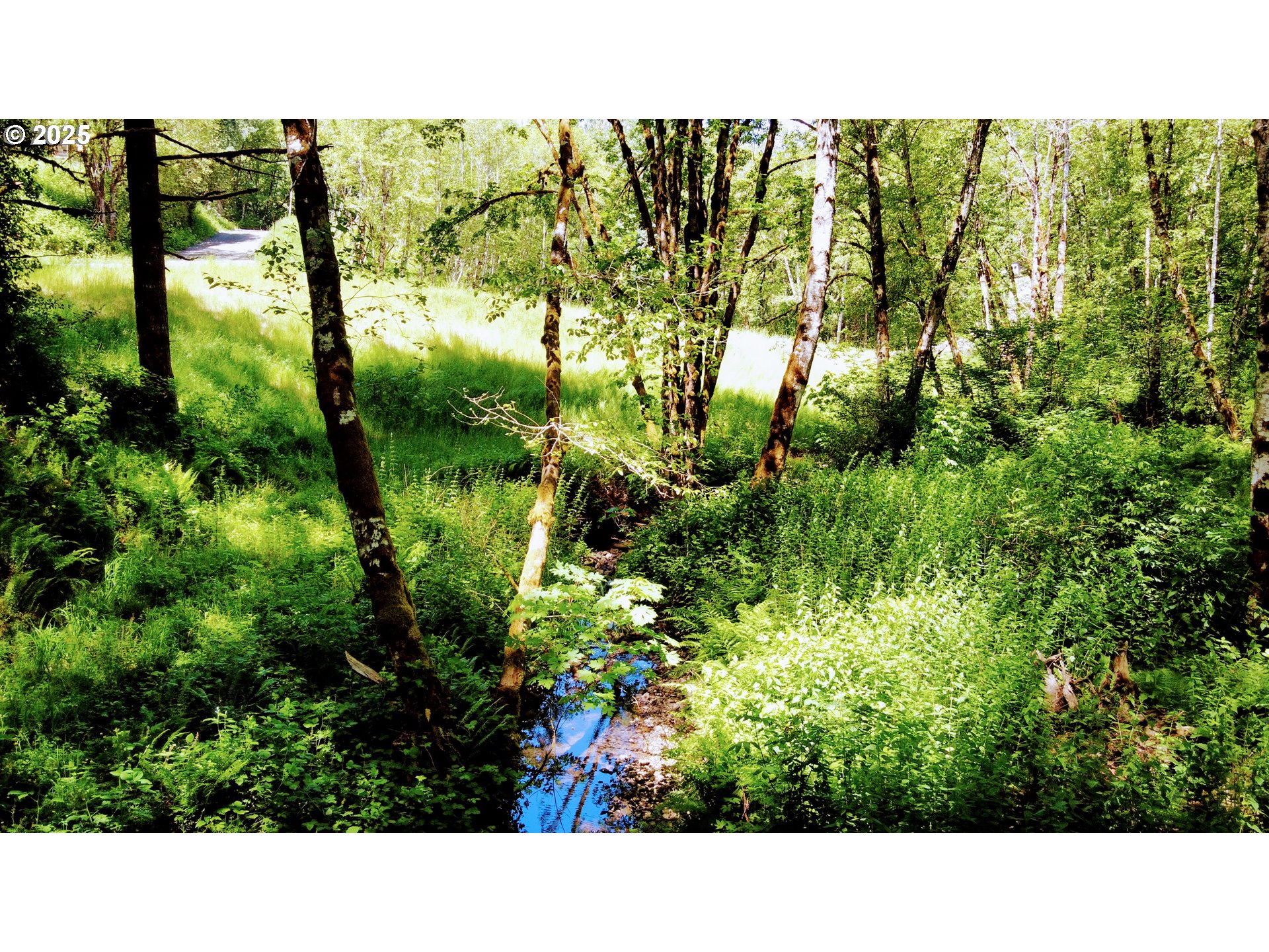 Northwest Cornelius Pass Road Portland, OR 97231 - Photo 11 of 16 a open area with yard