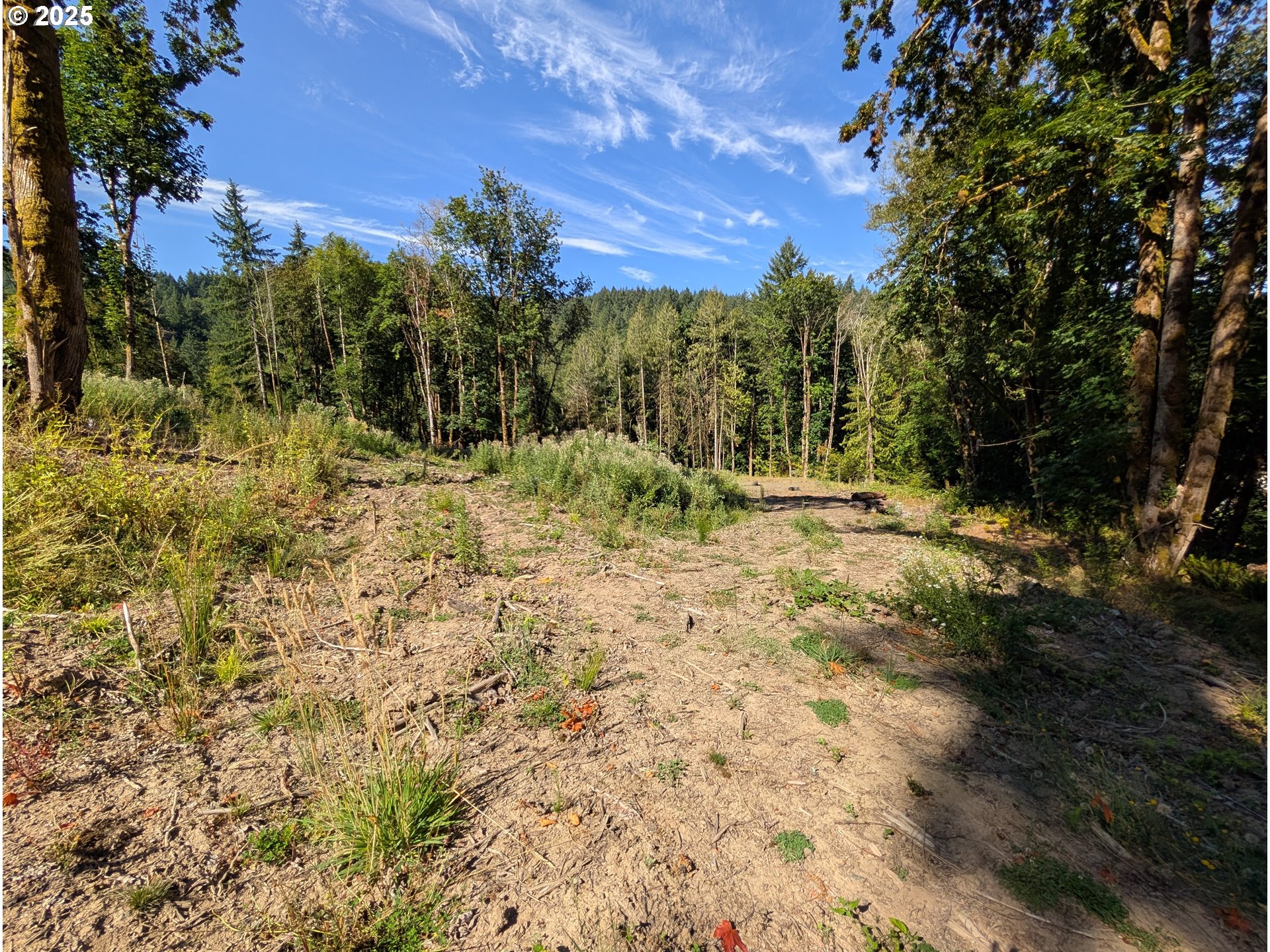 Northwest Cornelius Pass Road Portland, OR 97231 - Photo 2 of 16 a view of outdoor space and trees