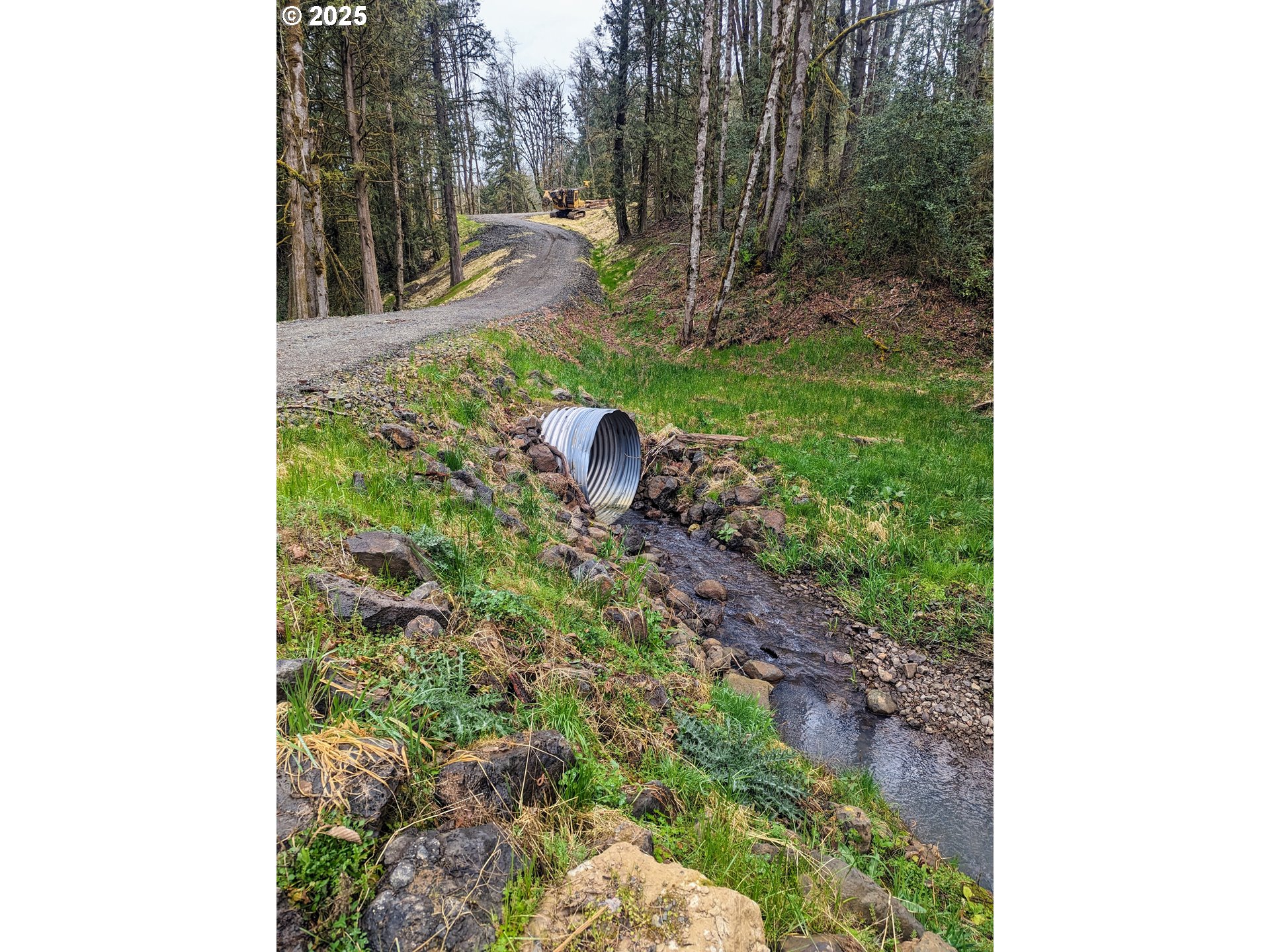 Northwest Cornelius Pass Road Portland, OR 97231 - Photo 3 of 16 a backyard of a house with lots of green space