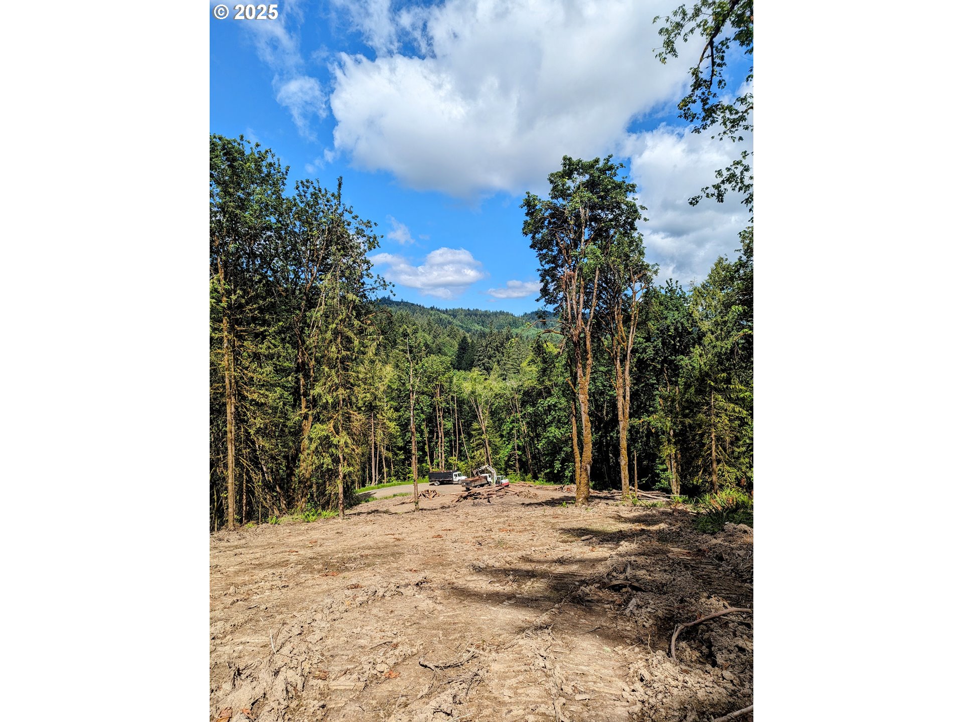 Northwest Cornelius Pass Road Portland, OR 97231 - Photo 5 of 16 a view of a yard with plants and trees