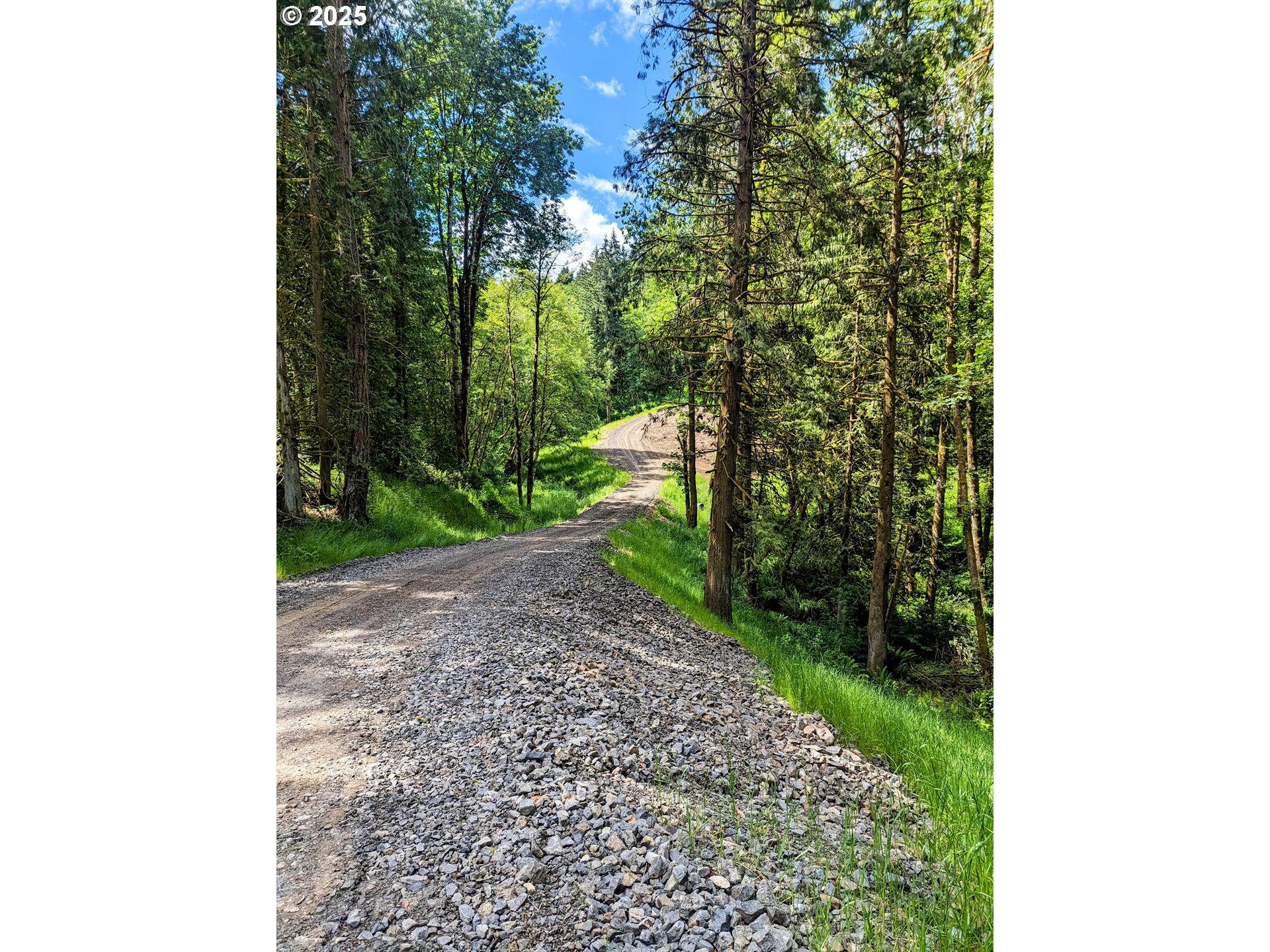 Northwest Cornelius Pass Road Portland, OR 97231 - Photo 6 of 16 a view of a yard with plants and a trees