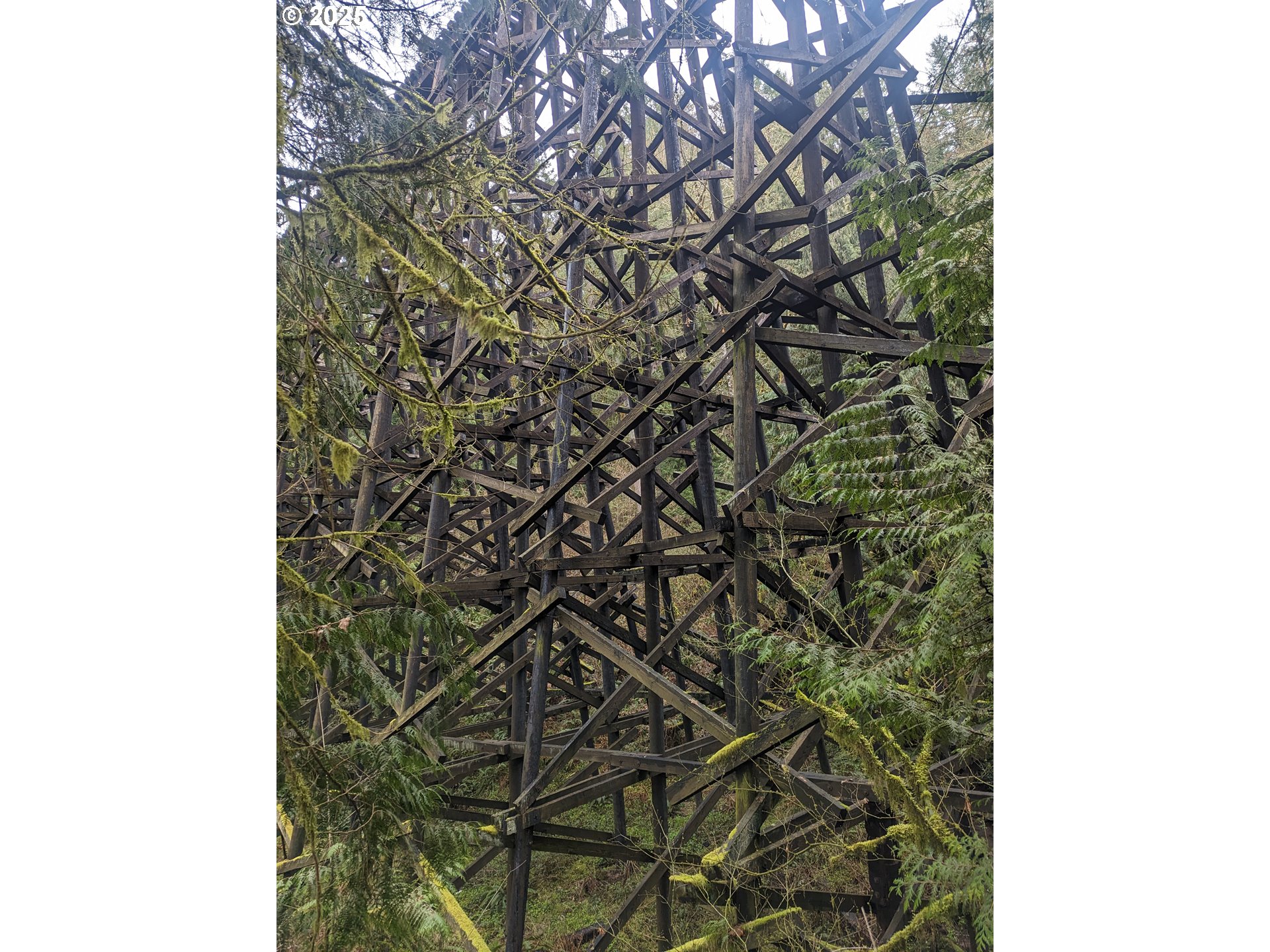 Northwest Cornelius Pass Road Portland, OR 97231 - Photo 7 of 16