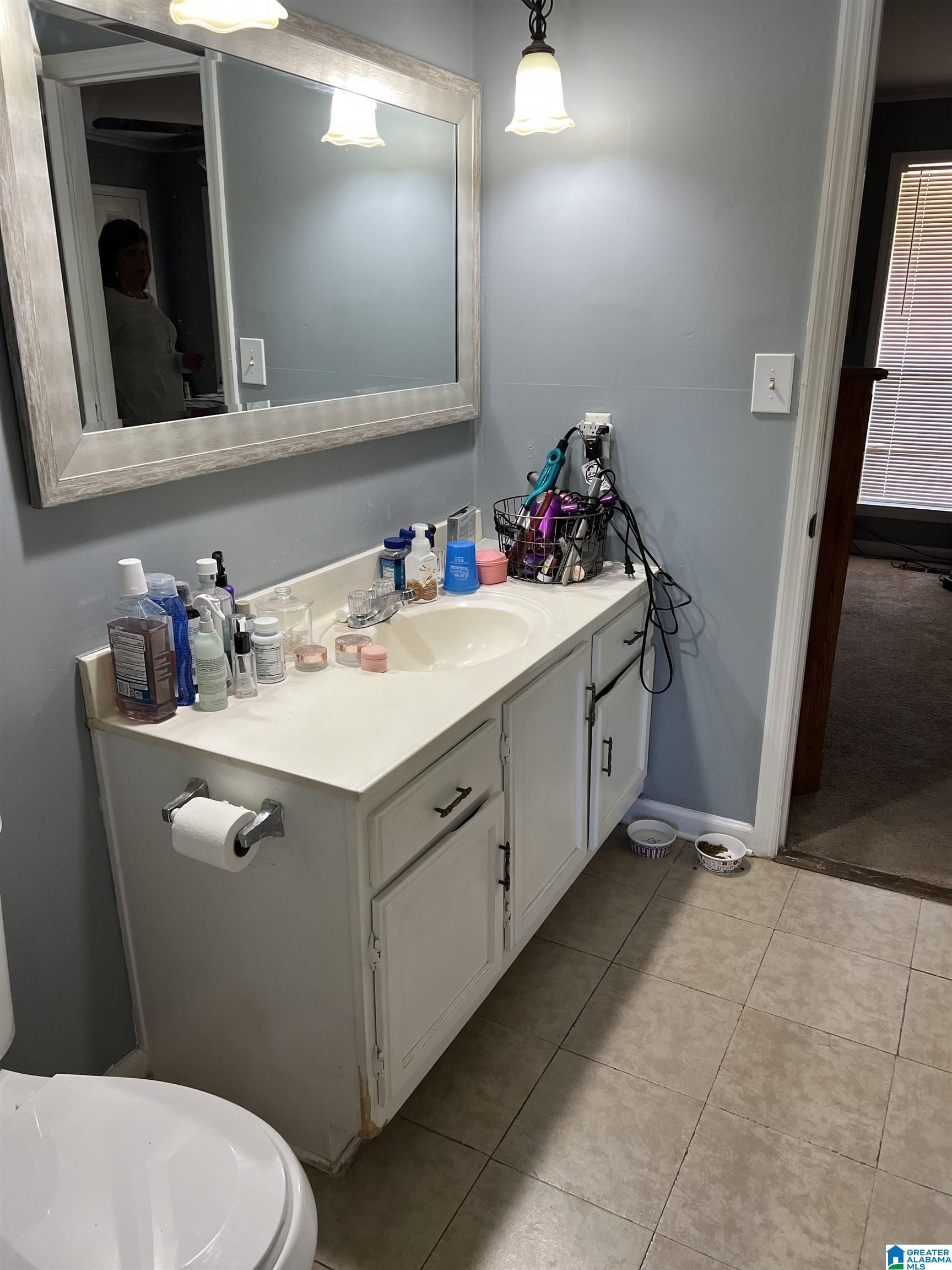 415 Crawfish Lane Ragland, AL 35131 - Photo 9 of 20