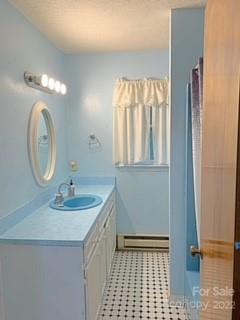 154 Meadows Road Canton, NC 28716 - Photo 19 of 31 a bathroom with a sink a toilet and a mirror
