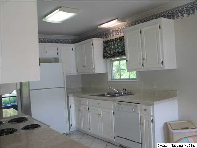 325 Black Acres Road Cropwell, AL 35054 - Photo 10 of 32