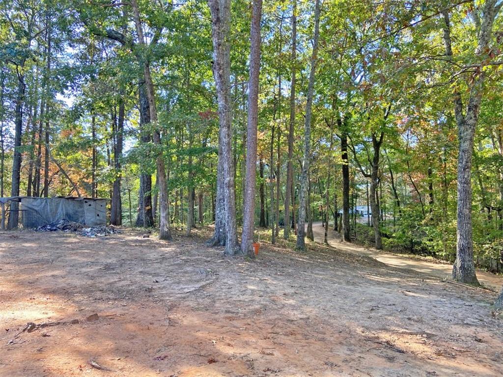 962 Winters Mountain Road Dahlonega, GA 30533 - Photo 3 of 8