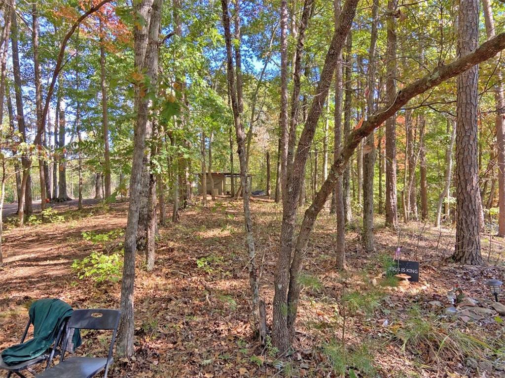 962 Winters Mountain Road Dahlonega, GA 30533 - Photo 4 of 8