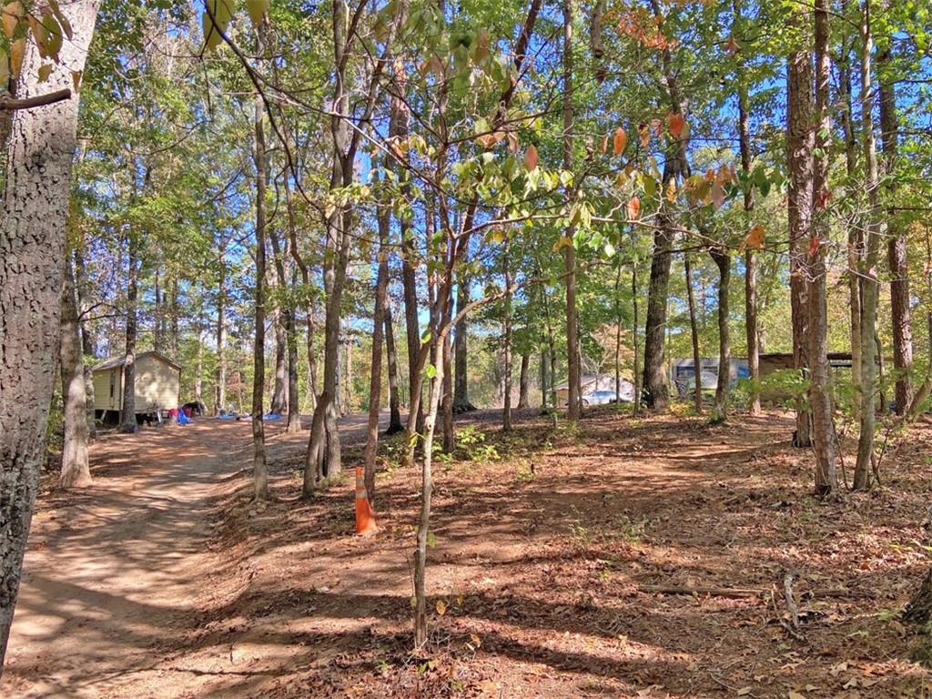 962 Winters Mountain Road Dahlonega, GA 30533 - Photo 5 of 8