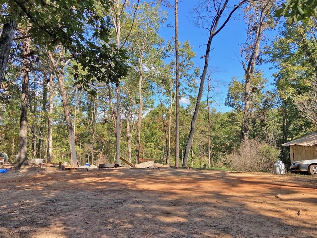 962 Winters Mountain Road Dahlonega, GA 30533 - Photo 6 of 8