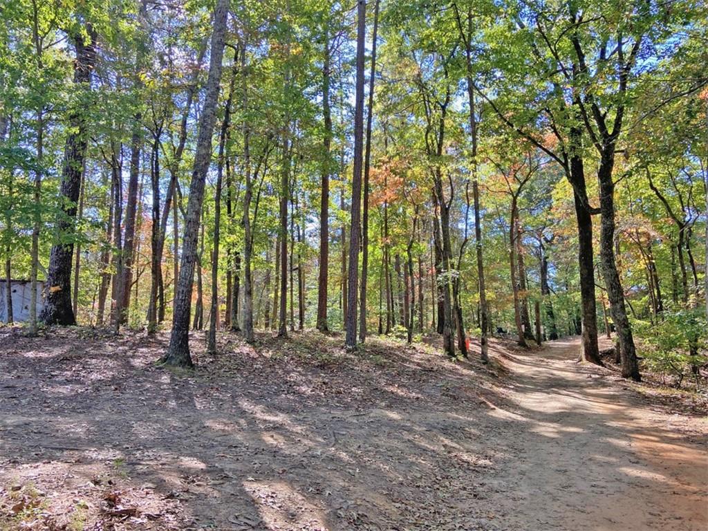 962 Winters Mountain Road Dahlonega, GA 30533 - Photo 8 of 8