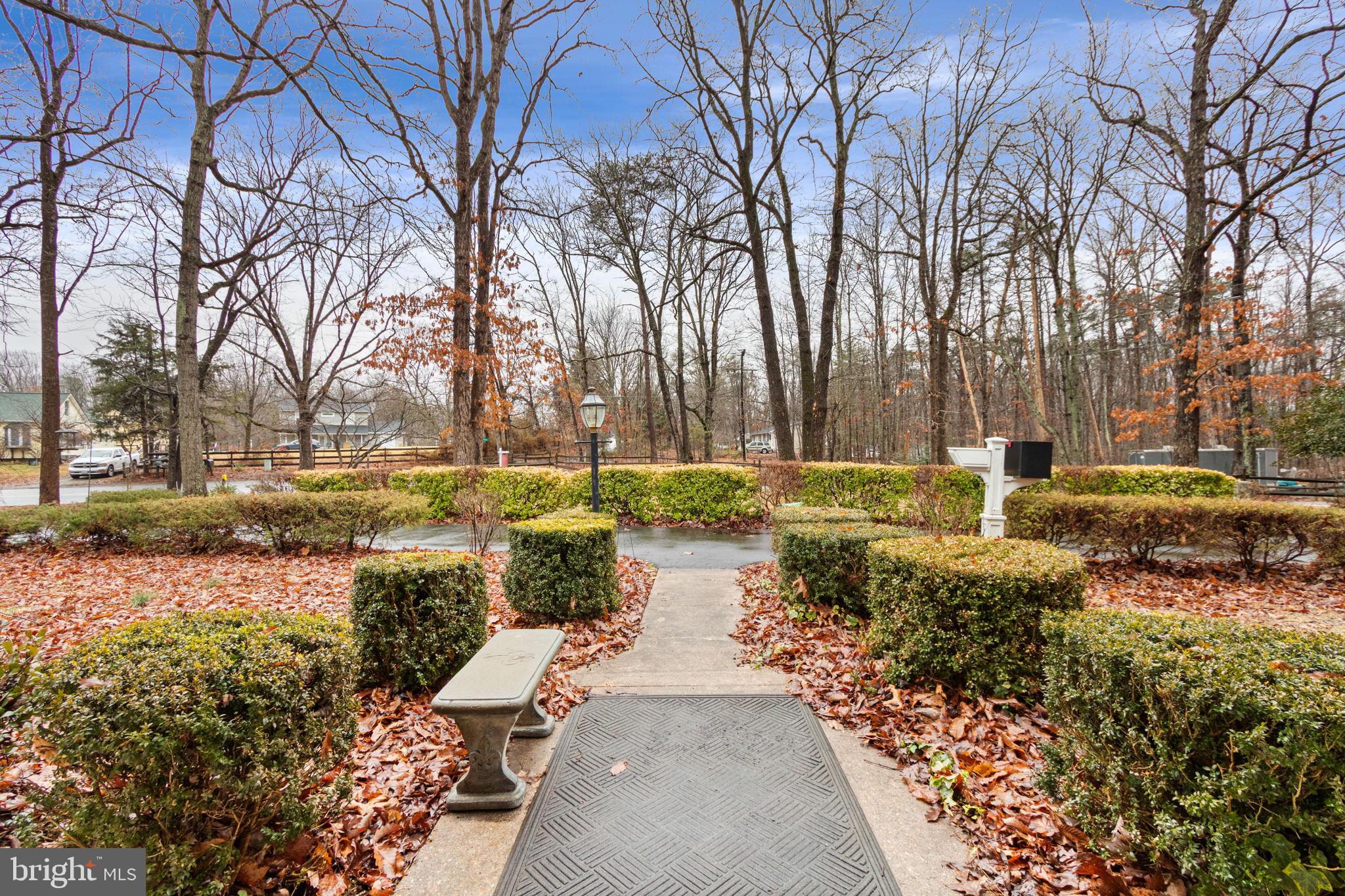 54 Richards Ferry Road Fredericksburg, VA 22406 - Photo 4 of 53 a view of a yard with plants