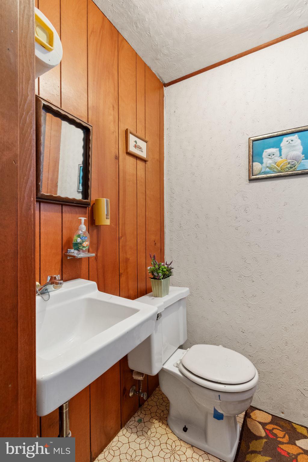 54 Richards Ferry Road Fredericksburg, VA 22406 - Photo 42 of 53 a bathroom with a sink a toilet and mirror